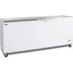 Congélateur pro TEFCOLD 16163