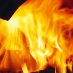 Chaudière bois à gazéification Domusa LIGNUM IB 30 – Image 2