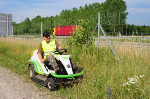 Tondeuse débroussailleuse – Image 2